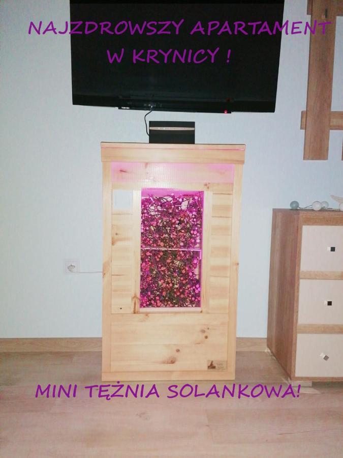 Goplana Przy Deptaku * Krynica Zdroj